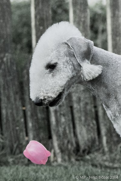 2014-03-14 Svet-8093-2.jpg